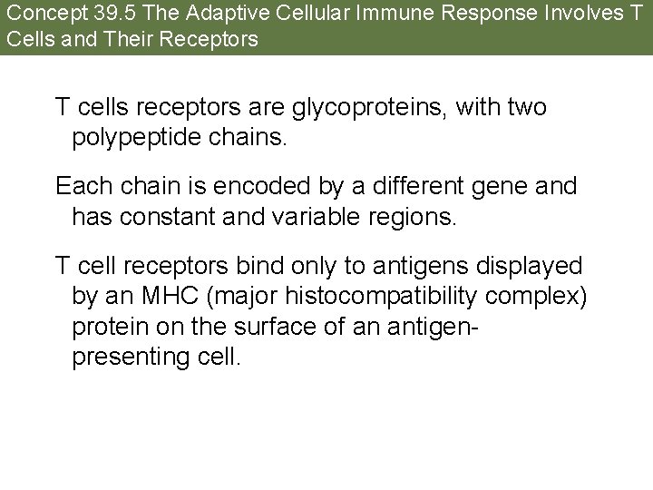 Concept 39. 5 The Adaptive Cellular Immune Response Involves T Cells and Their Receptors