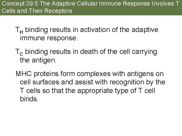 Concept 39. 5 The Adaptive Cellular Immune Response Involves T Cells and Their Receptors