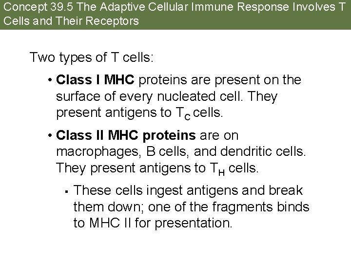 Concept 39. 5 The Adaptive Cellular Immune Response Involves T Cells and Their Receptors