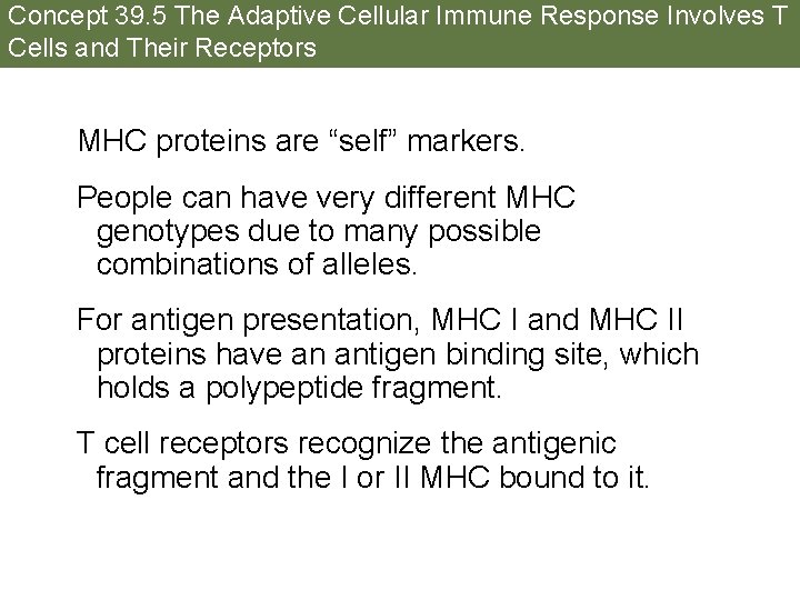 Concept 39. 5 The Adaptive Cellular Immune Response Involves T Cells and Their Receptors