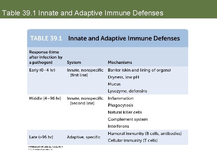 Table 39. 1 Innate and Adaptive Immune Defenses 