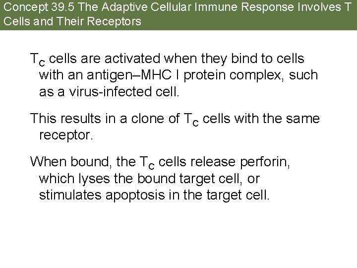 Concept 39. 5 The Adaptive Cellular Immune Response Involves T Cells and Their Receptors