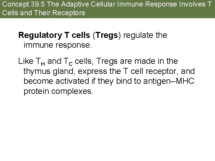 Concept 39. 5 The Adaptive Cellular Immune Response Involves T Cells and Their Receptors