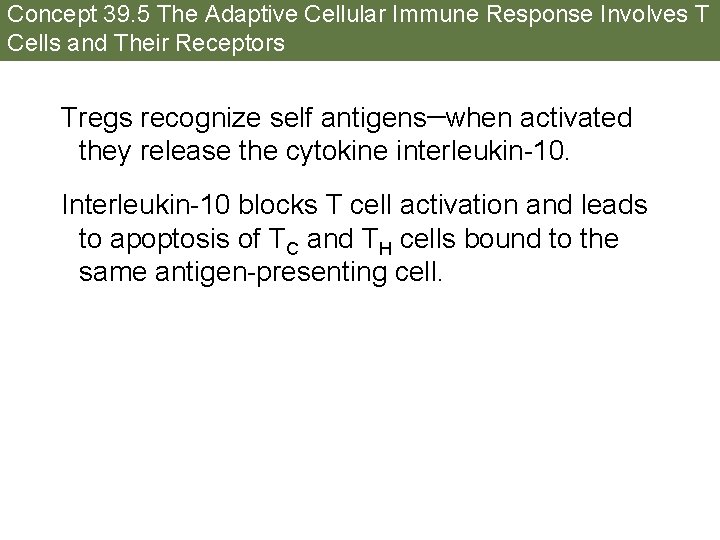 Concept 39. 5 The Adaptive Cellular Immune Response Involves T Cells and Their Receptors