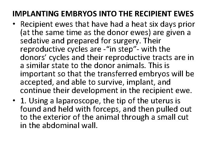 IMPLANTING EMBRYOS INTO THE RECIPIENT EWES • Recipient ewes that have had a heat