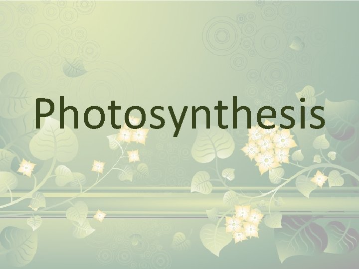 Photosynthesis 