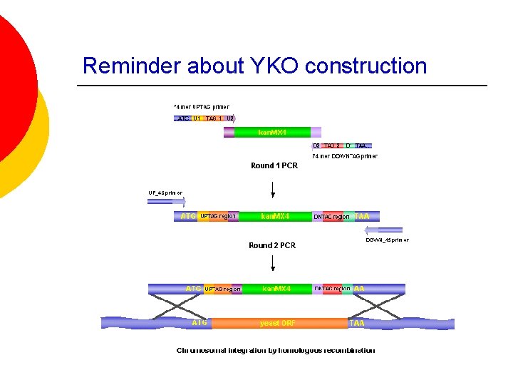 Reminder about YKO construction 