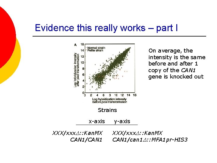 Evidence this really works – part I On average, the intensity is the same