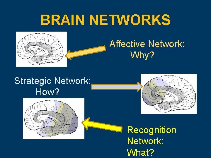 BRAIN NETWORKS Affective Network: Why? Strategic Network: How? Recognition Network: What? 