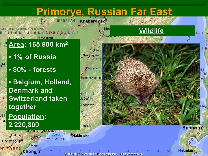 Primorye, Russian Far East Wildlife: Area: 165 900 km 2 • 1% of Russia