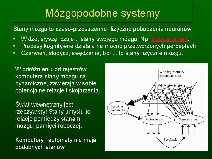 Mózgopodobne systemy Stany mózgu to czaso-przestrzenne, fizyczne pobudzenia neuronów. • Widzę, słyszę, czuję. .