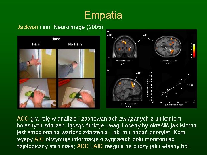 Empatia Jackson i inn, Neuroimage (2005) ACC gra rolę w analizie i zachowaniach związanych