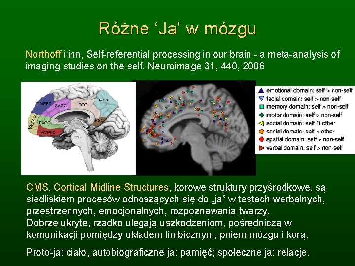 Różne ‘Ja’ w mózgu Northoff i inn, Self-referential processing in our brain - a