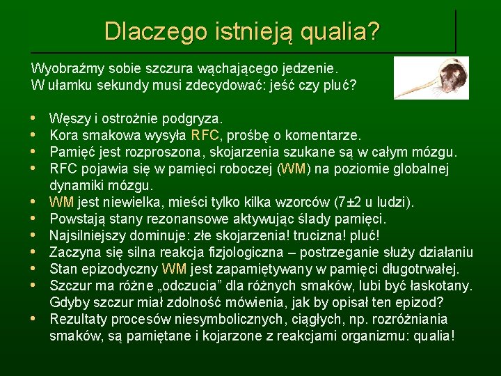 Dlaczego istnieją qualia? Wyobraźmy sobie szczura wąchającego jedzenie. W ułamku sekundy musi zdecydować: jeść