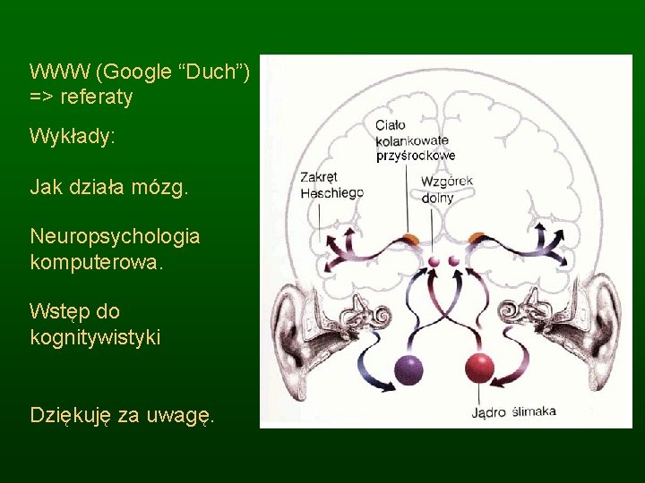 WWW (Google “Duch”) => referaty Wykłady: Jak działa mózg. Neuropsychologia komputerowa. Wstęp do kognitywistyki