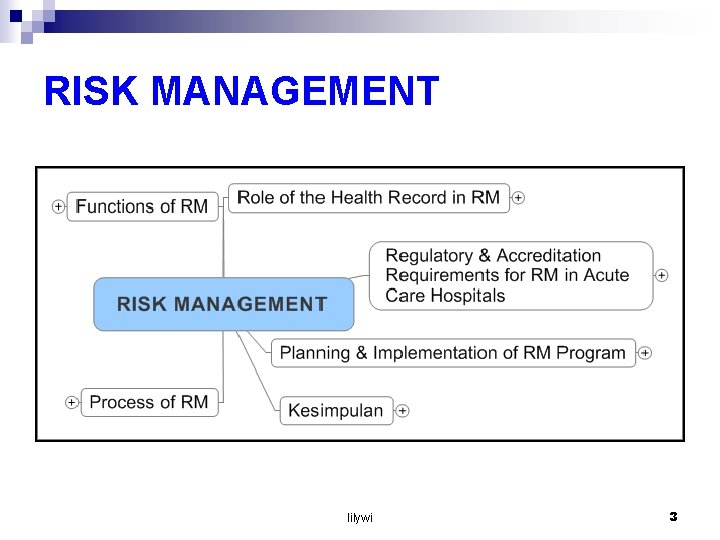 RISK MANAGEMENT lilywi 3 