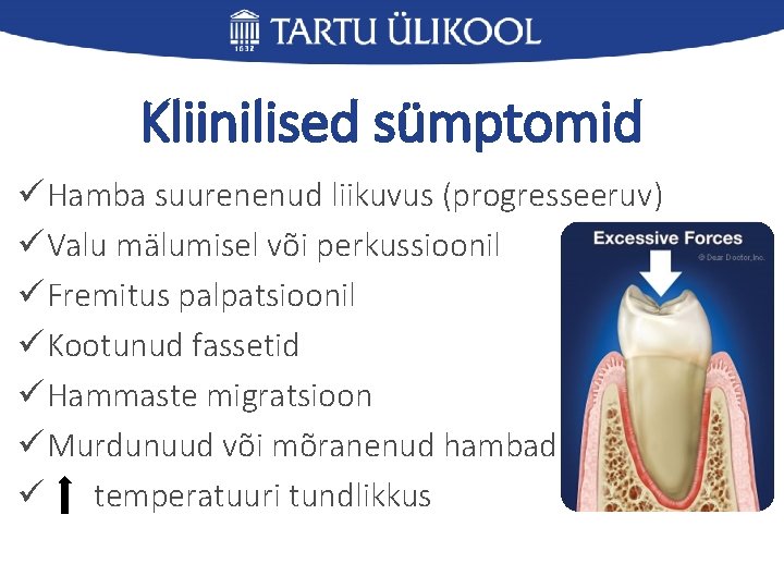 Kliinilised sümptomid ü Hamba suurenenud liikuvus (progresseeruv) ü Valu mälumisel või perkussioonil ü Fremitus