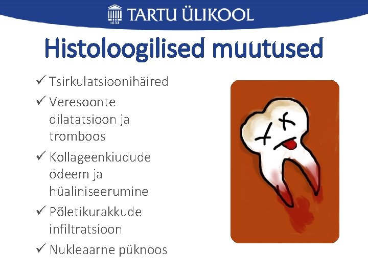 Histoloogilised muutused ü Tsirkulatsioonihäired ü Veresoonte dilatatsioon ja tromboos ü Kollageenkiudude ödeem ja hüaliniseerumine