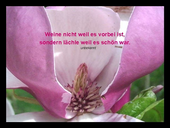 Weine nicht weil es vorbei ist, sondern lächle weil es schön war. unbekannt 