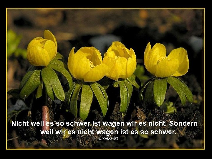 Nicht weil es so schwer ist wagen wir es nicht. Sondern weil wir es