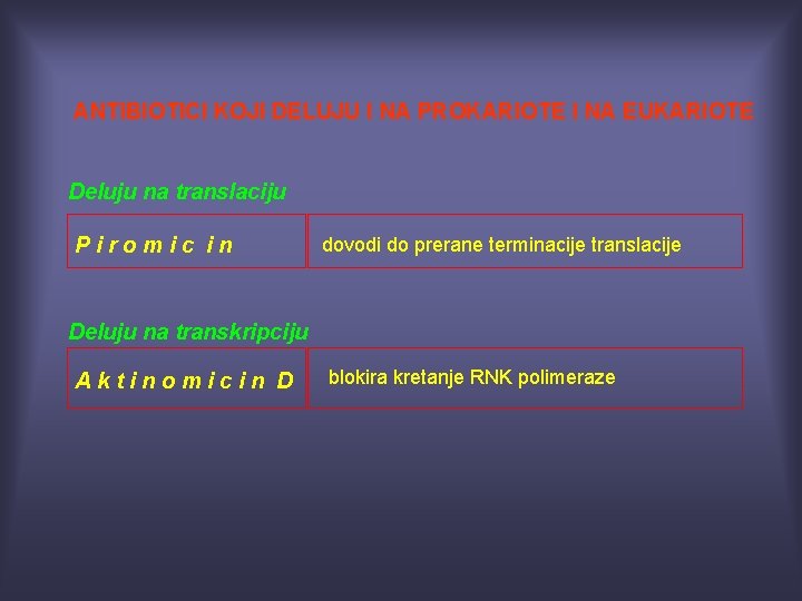 ANTIBIOTICI KOJI DELUJU I NA PROKARIOTE I NA EUKARIOTE Deluju na translaciju Piromic in