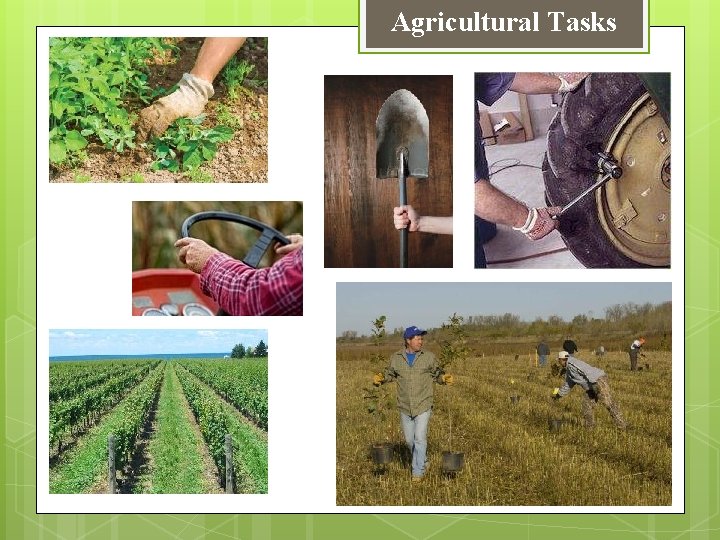 Agricultural Tasks 