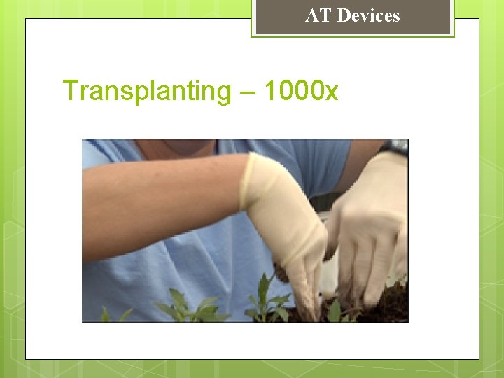 AT Devices Transplanting – 1000 x 