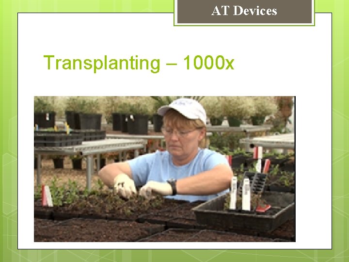 AT Devices Transplanting – 1000 x 