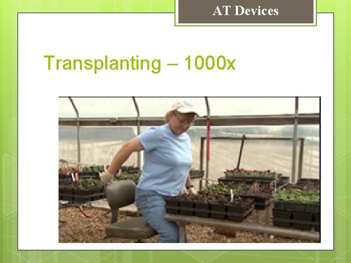 AT Devices Transplanting – 1000 x 