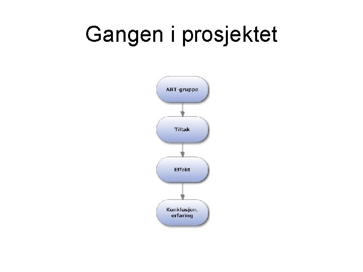 Gangen i prosjektet 