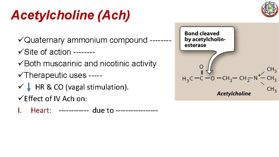Acetylcholine (Ach) üQuaternary ammonium compound -------üSite of action -------üBoth muscarinic and nicotinic activity üTherapeutic