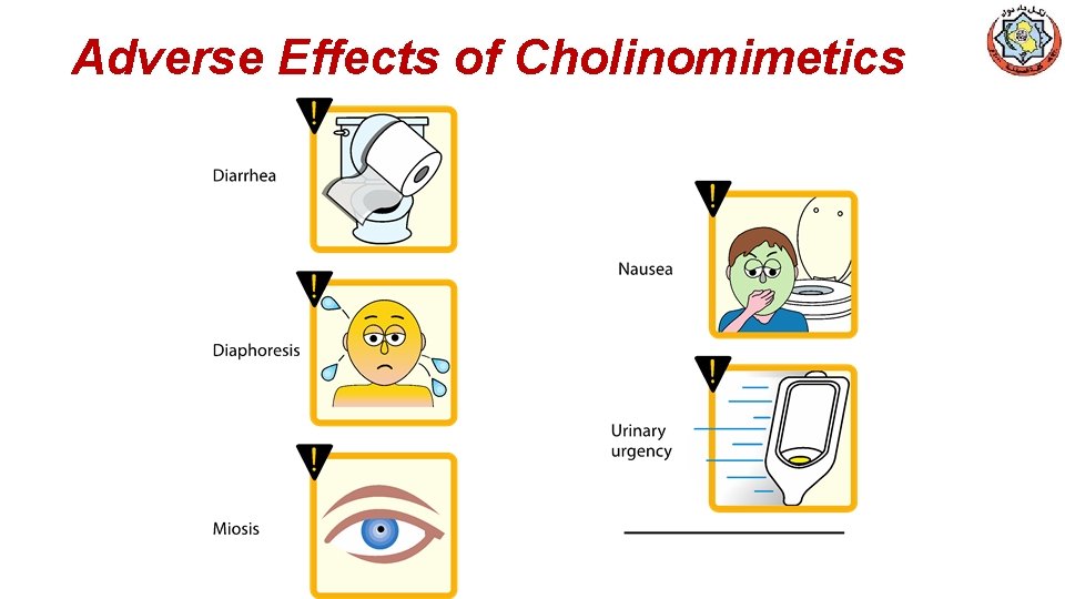 Cholinergic Agonists DirectActing Cholinomimetics DirectActing