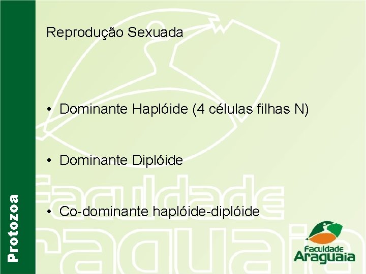 Reprodução Sexuada • Dominante Haplóide (4 células filhas N) Protozoa • Dominante Diplóide •