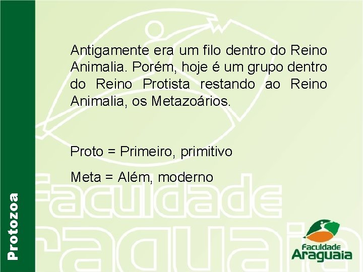 Antigamente era um filo dentro do Reino Animalia. Porém, hoje é um grupo dentro