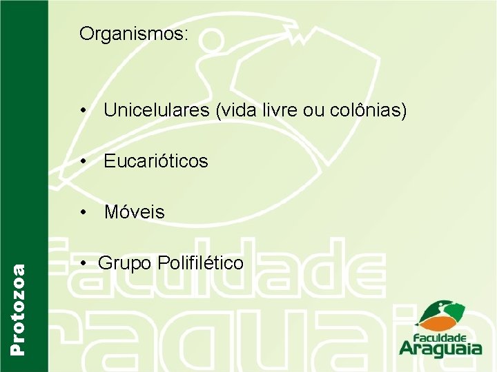 Organismos: • Unicelulares (vida livre ou colônias) • Eucarióticos Protozoa • Móveis • Grupo
