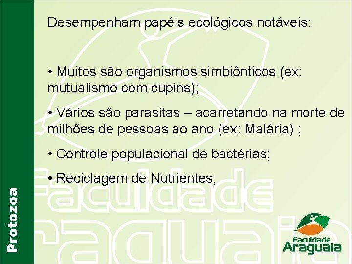 Desempenham papéis ecológicos notáveis: • Muitos são organismos simbiônticos (ex: mutualismo com cupins); •