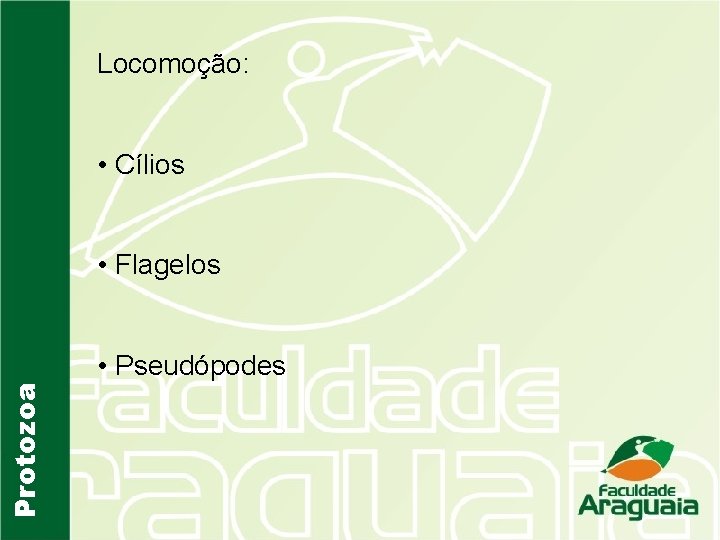 Locomoção: • Cílios • Flagelos Protozoa • Pseudópodes 