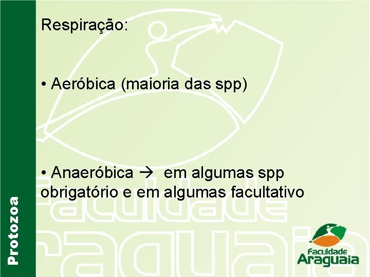 Respiração: Protozoa • Aeróbica (maioria das spp) • Anaeróbica em algumas spp obrigatório e