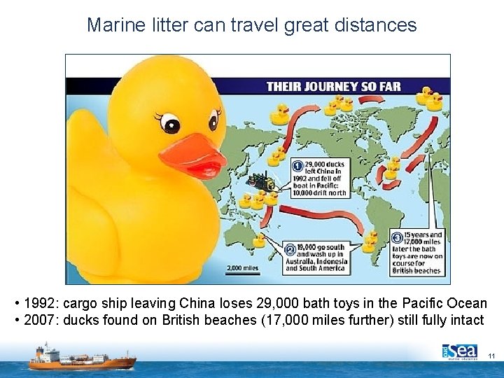 Marine litter can travel great distances • 1992: cargo ship leaving China loses 29,