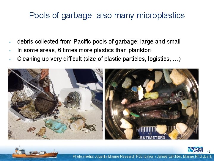 Pools of garbage: also many microplastics • • • debris collected from Pacific pools