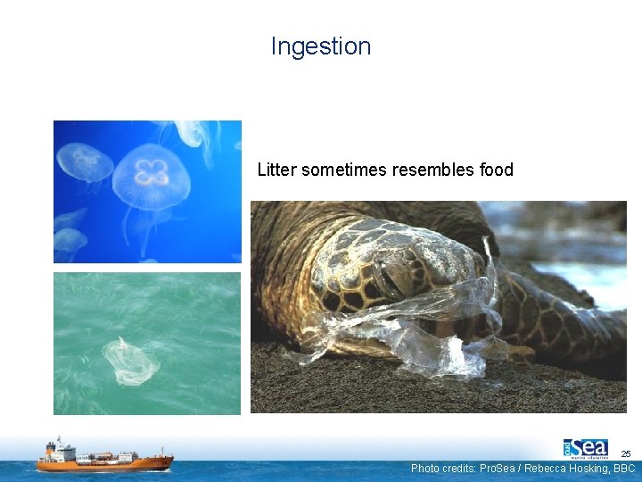 Ingestion Litter sometimes resembles food 25 Photo credits: Pro. Sea / Rebecca Hosking, BBC