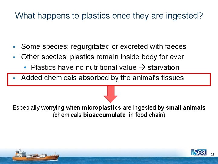 What happens to plastics once they are ingested? § § § Some species: regurgitated