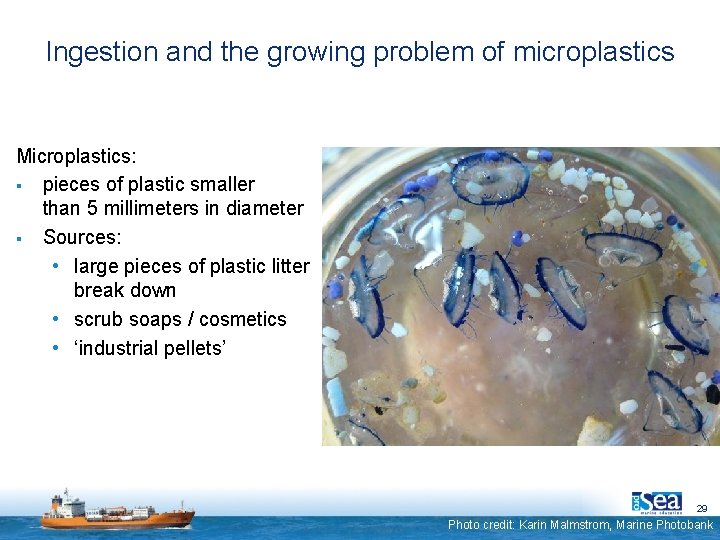 Ingestion and the growing problem of microplastics Microplastics: § pieces of plastic smaller than