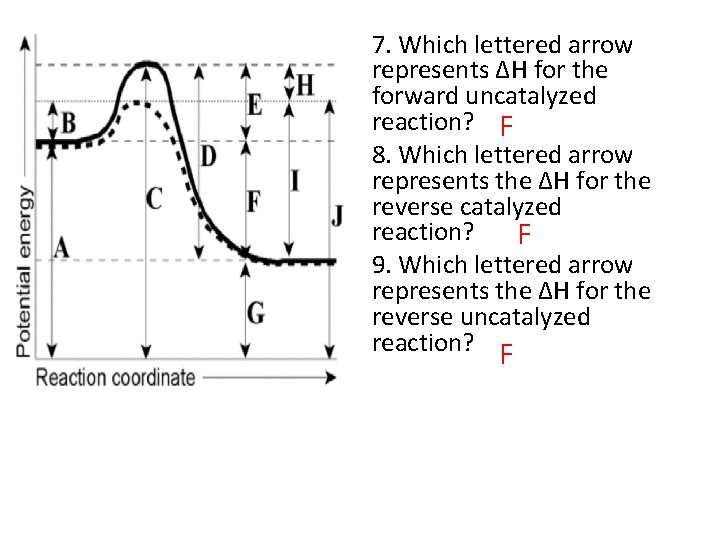 7. Which lettered arrow represents ΔH for the forward uncatalyzed reaction? F 8. Which