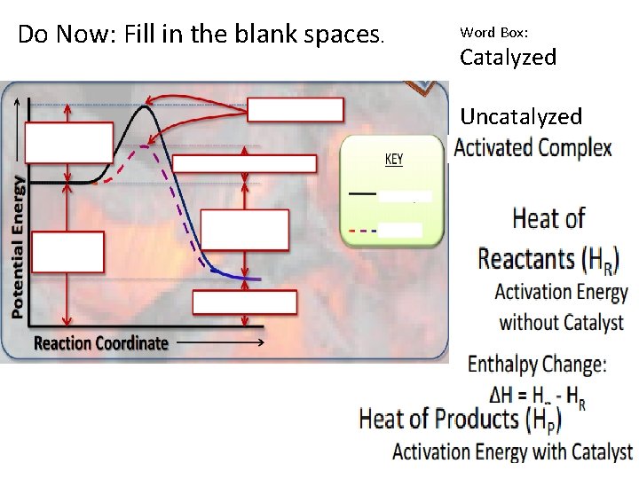 Do Now: Fill in the blank spaces. Word Box: Catalyzed Uncatalyzed 