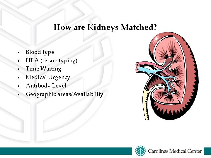 How are Kidneys Matched? · · · Blood type HLA (tissue typing) Time Waiting