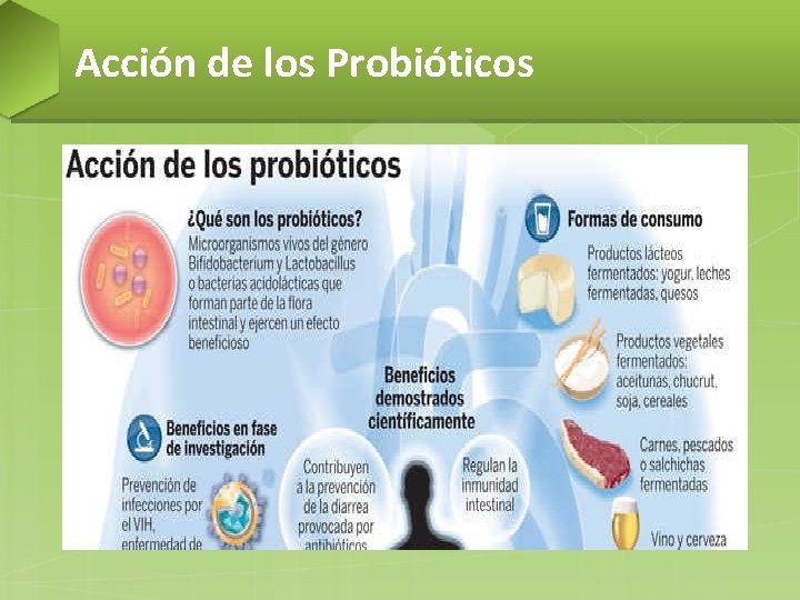 Acción de los Probióticos 