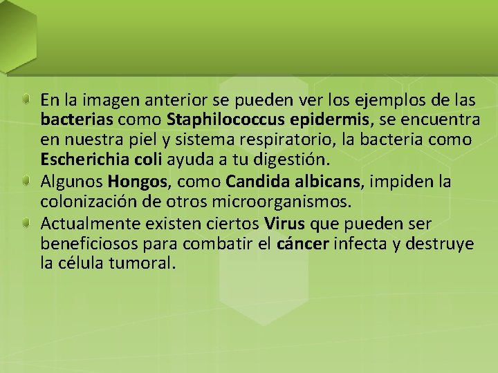 En la imagen anterior se pueden ver los ejemplos de las bacterias como Staphilococcus