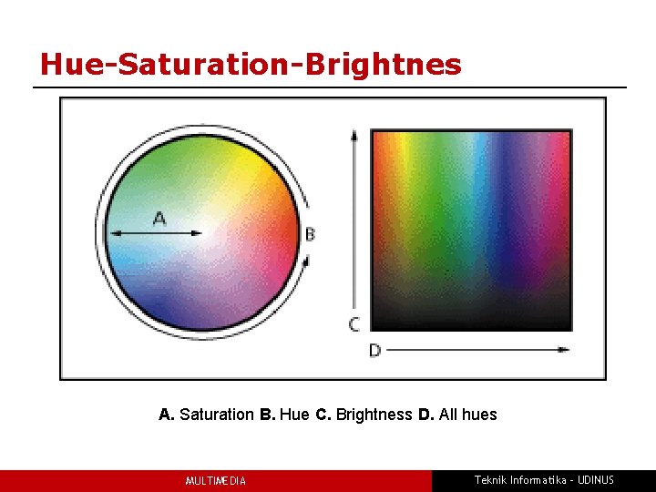 Hue-Saturation-Brightnes A. Saturation B. Hue C. Brightness D. All hues MULTIMEDIA Teknik Informatika -