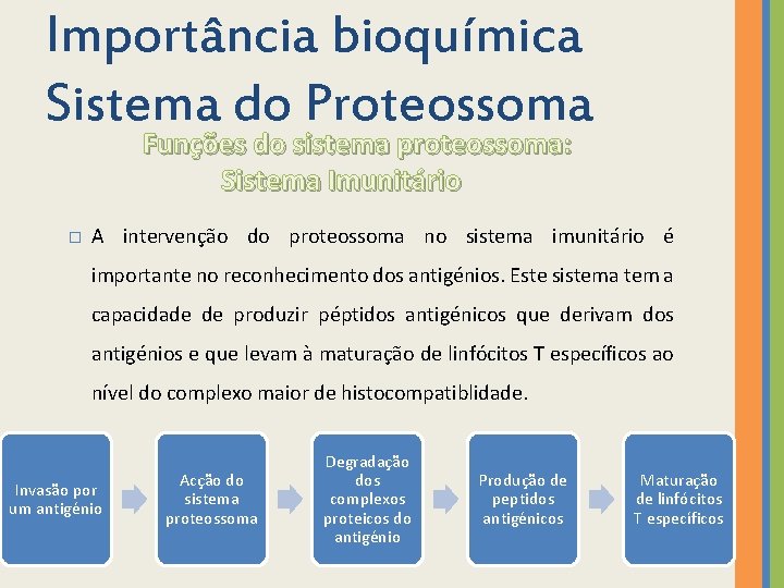 Importância bioquímica Sistema do Proteossoma Funções do sistema proteossoma: Sistema Imunitário � A intervenção